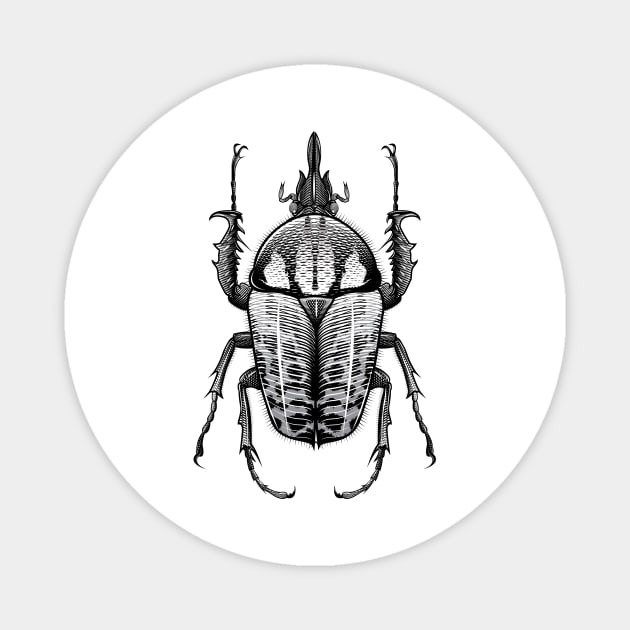 Goliath Beetle Magnet by TattooTshirt